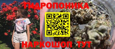 бошки Моздок