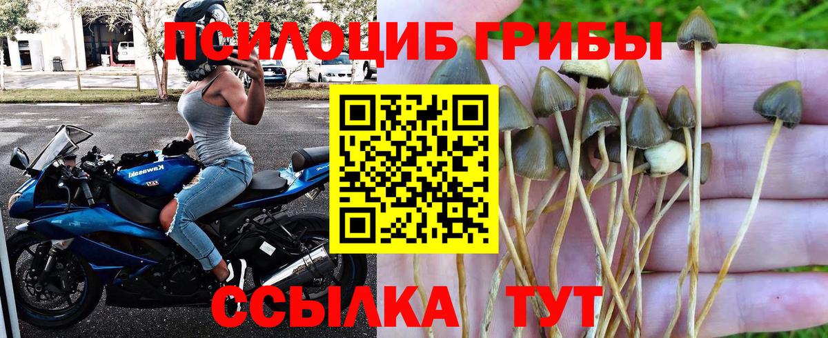 Великий Устюг  Галлюциногенные грибы Magic Shrooms  Вход с VPN 